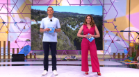 Programa 50