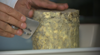 Un queixo azul de Chantada, o mellor de España