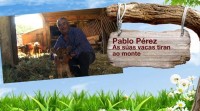 Cos pés na terra - Pablo Pérez. As súas vacas tiran ao monte