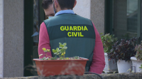 Dez detidos nunha operación antidroga en varios puntos de Ourense, Pontevedra e León