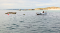 A ría de Arousa, unha xoia natural con máis brillo coa limpeza dos fondos mariños