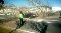 Un ferido en Moaña tras caer unha árbore enriba de dous vehículos