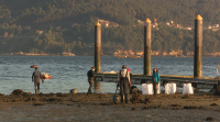 Recollen máis de 600 quilos de residuos nunha praia de Vigo