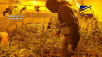 Desartellada unha banda de narcotraficantes que se facía pasar por unha empresa de mensaxería
