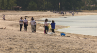 Escolares de Boiro limpan a praia de Barraña