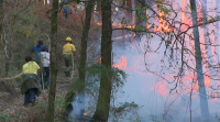 Extinguido o incendio declarado en Ponteareas