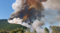 Estabilizado o incendio fortestal de Rubiá tras arrasar 200 hectáreas