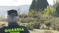 A Garda Civil segue investigando a morte de Labajjo Grandío