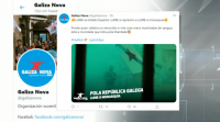 Galiza Nova aposta pola república galega neste 12 de outubro