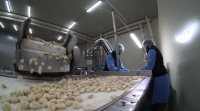 Unha empresa de castañas de Monterroso, distinguida como peme do ano da provincia de Lugo