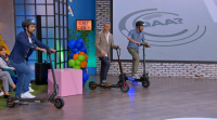 Programa 683