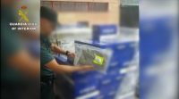 A Garda Civil comisa en Cataluña o maior alixo de marihuana en España