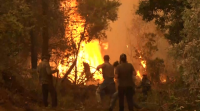 Aumentan as críticas contra o Goberno grego pola falta de medios aéreos para loitar contra os incendios