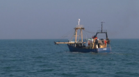 O sector pesqueiro galego lamenta a ausencia dun comisario específico para o sector en Bruxelas