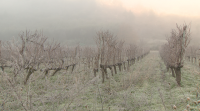 Frío e xeadas nas zonas baixas e mínimas de 10 graos na montaña
