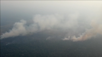 Os 33.000 incendios na Amazonia brasileira no que vai de ano queiman o principal pulmón do planeta