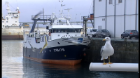 Nova liña de axudas da Consellería do Mar para equipar e modernizar portos e lonxas