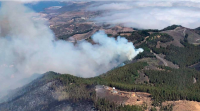 O forte vento complica as tarefas de extinción do incendio en Gran Canaria