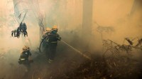 Os incendios arrasan máis de 900 hectáreas en tan só dous días en Galicia