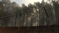 Estabilizado o incendio de Ribeira que arrasou 175 hectáreas en dous días