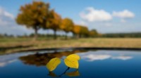 O Acordo de París está "moi lonxe", di a ONU, pois a covid non atrasou o cambio climático