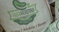Chegan ao mercado as primeiras fabas coa marca Verdina de Galicia