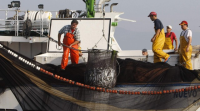 A UE propón menos recortes de pesca nunha negociación que segue aberta