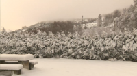 A neve causa dificultades para circular nas estradas de montaña de Lugo e Ourense
