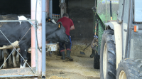 Unións Agrarias anuncia mobilizacións polo bloqueo dos prezos do leite en orixe