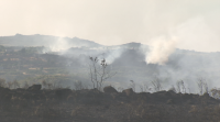 A Garda Civil esclarece un incendio que calcinou máis de 400 hectáreas en Cualedro