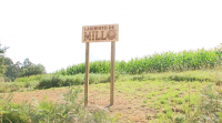 Un labirinto de millo para perderse polo concello de Teo