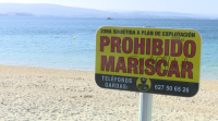 Comisan dous quilos de ameixa pequena e levantan tres actas de infracción a furtivos en traxe de baño na Illa de Arousa