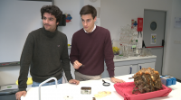 Dous estudantes dun centro de Poio, premiados pola súa proposta de loita biolóxica contra a velutina