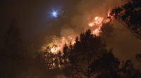O custo dos incendios: a Xunta valora en 134.000 euros o que lle supuxo apagar o de Salvaterra
