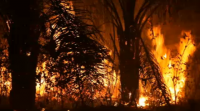Bolsonaro mobilizou o exército para loitar contra os incendios na Amazonia tras as críticas