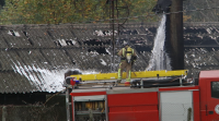 Morren 10.000 polos no incendio dunha granxa de Ourense