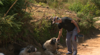 Un madrileño deixa todo para montar un complexo de agroturismo en Castroverde
