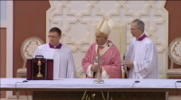 O Papa, favorable a pagar o IBI e a retirar as concertinas