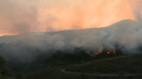 O 98% dos incendios forestais son intencionados, segundo un informe de Seprona