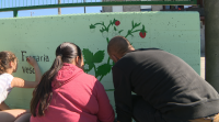 Alumnos dun colexio do Porriño pintan un mural xunto ao artista urbano Marcos Puhinger