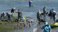 Regresa o marisqueo no fondo da ría de Pontevedra