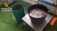 Requisan en Malpica 22 quilos de polbo pequeno e 7 de nécora que non pasaron pola lonxa