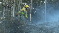 Extinguido o incendio de Rois e controlado o de Vilar de Barrio