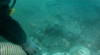 Os arqueólogos estudan un galeón afundido na ría de Ribadeo