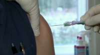 Intensifícase a campaña de vacinación no Reino Unido polos alarmantes datos de falecementos