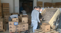 Éxito da campaña de venda por Internet do excedente de pataca da Limia