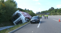 Un camión que transportaba becerros saíu da vía na AG-53 en Piñor
