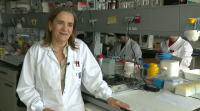 Unha investigadora da Universidade de Santiago é a científica máis influente de España