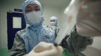 A China detecta o primeiro contaxio de gripe aviar en humanos