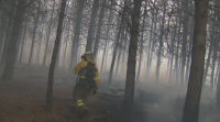 Extinguido o incendio forestal de Oímbra tras queimar unhas 30 hectáreas
